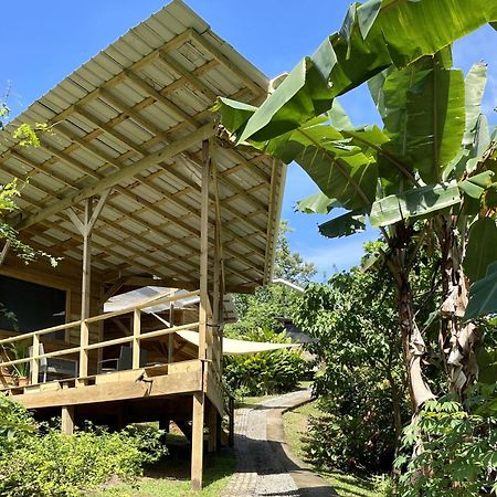 Eden Jungle Lodge Bocas del Toro Eksteriør billede