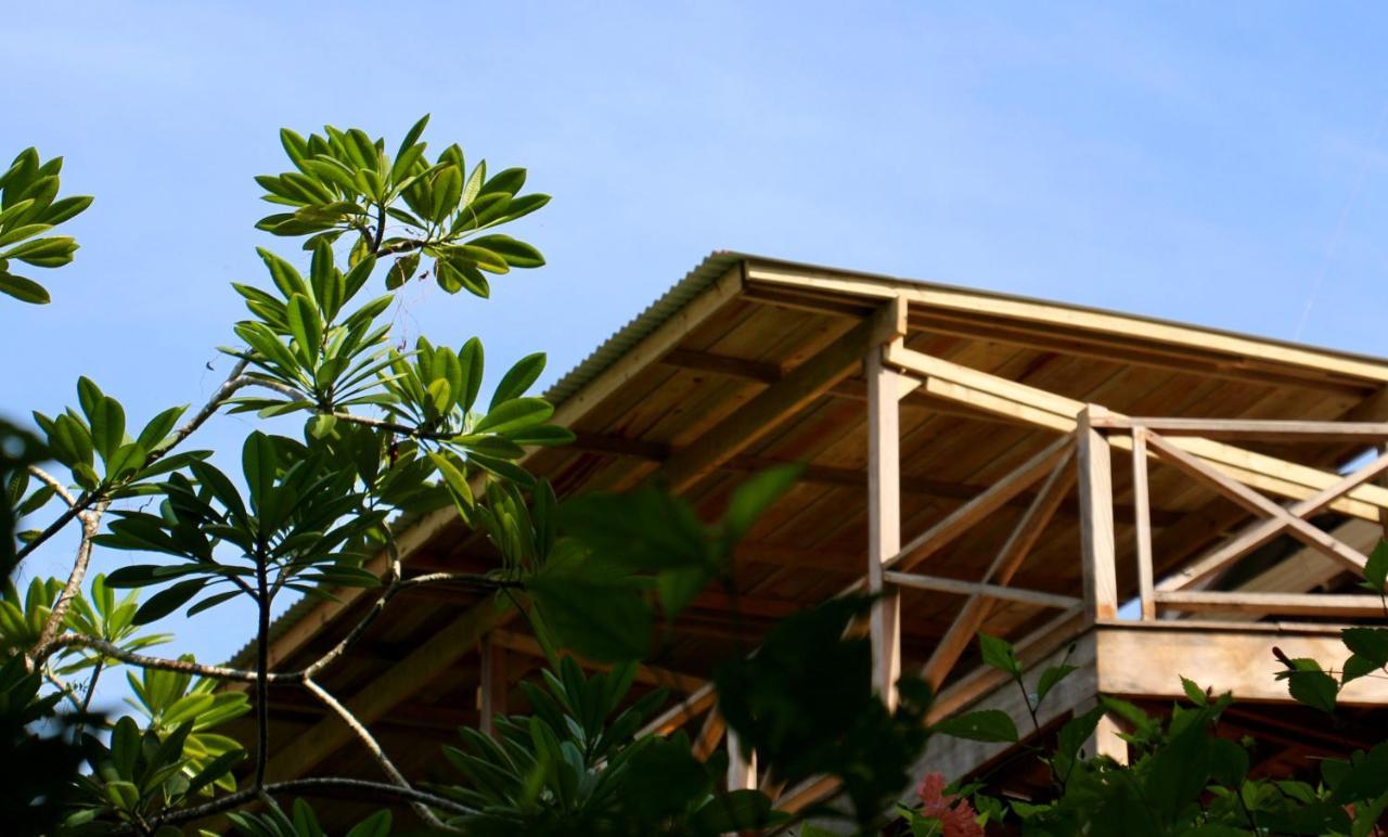 Eden Jungle Lodge Bocas del Toro Eksteriør billede