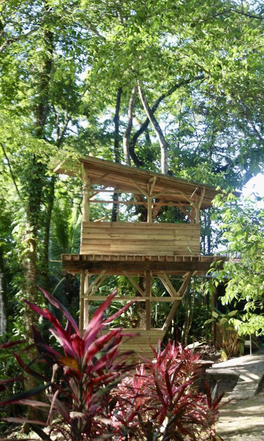 Eden Jungle Lodge Bocas del Toro Eksteriør billede