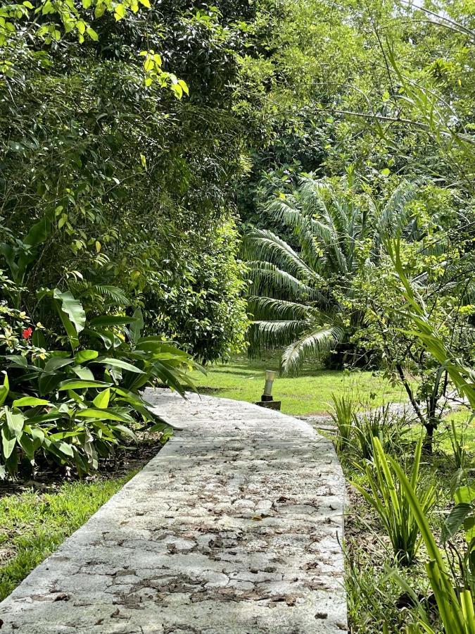 Eden Jungle Lodge Bocas del Toro Eksteriør billede