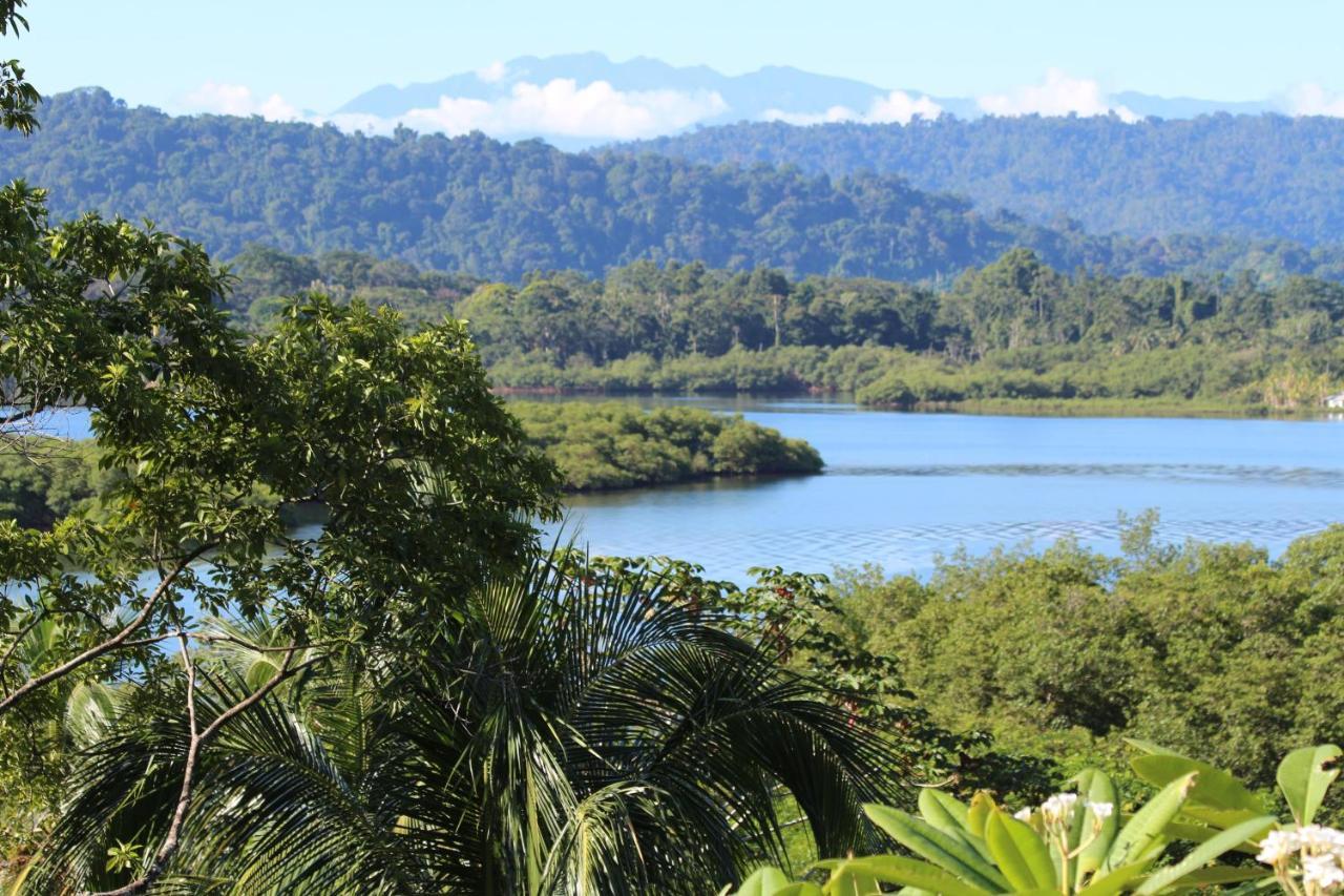 Eden Jungle Lodge Bocas del Toro Eksteriør billede