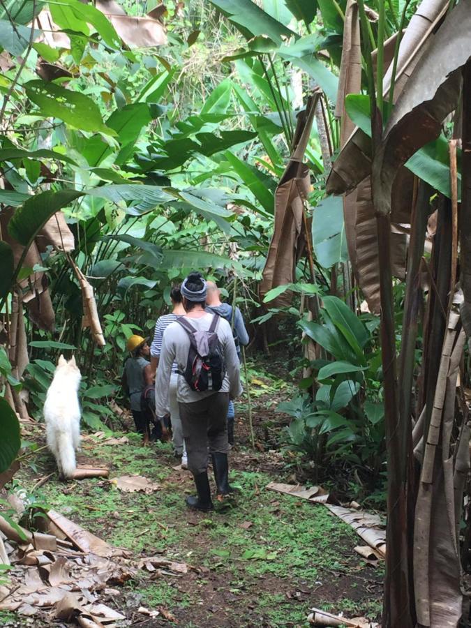 Eden Jungle Lodge Bocas del Toro Eksteriør billede