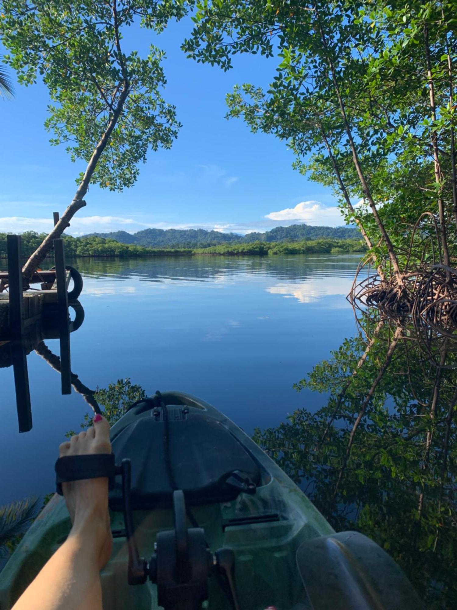 Eden Jungle Lodge Bocas del Toro Eksteriør billede