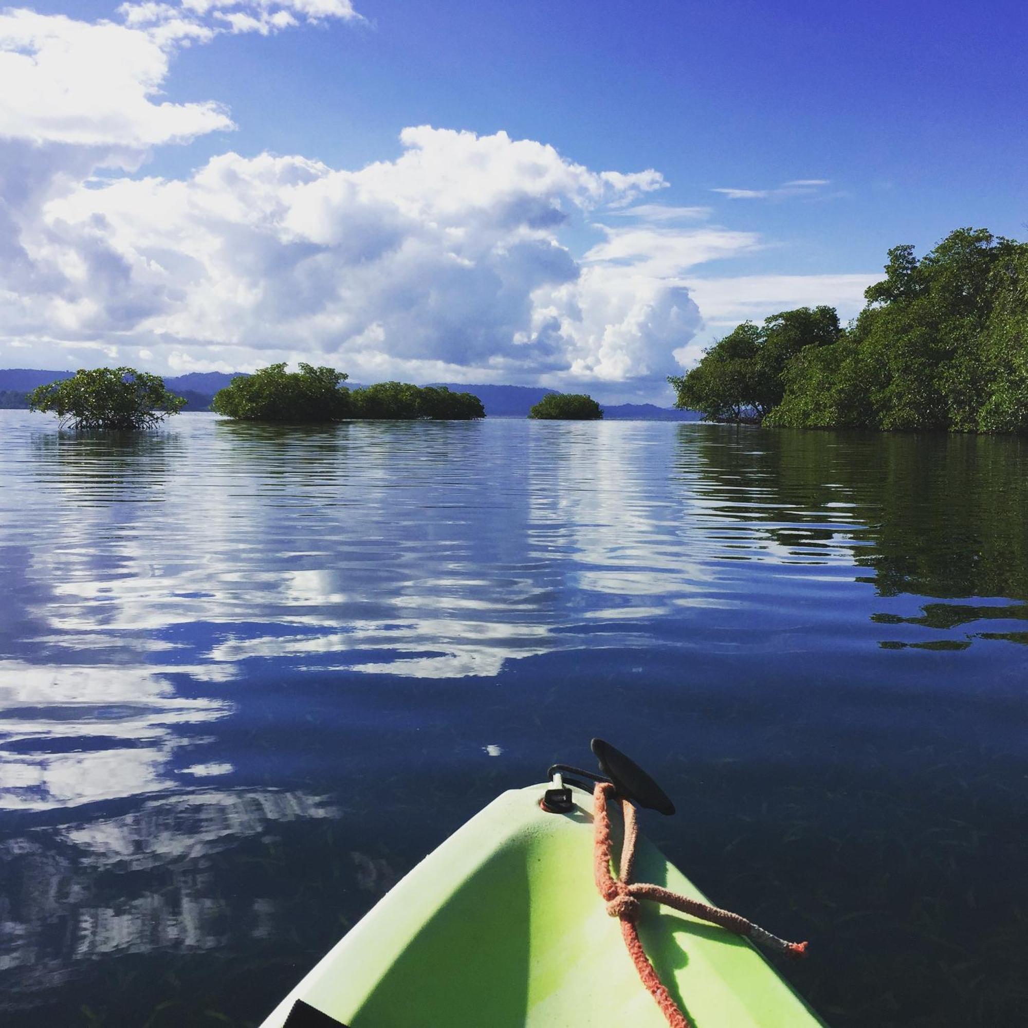Eden Jungle Lodge Bocas del Toro Eksteriør billede