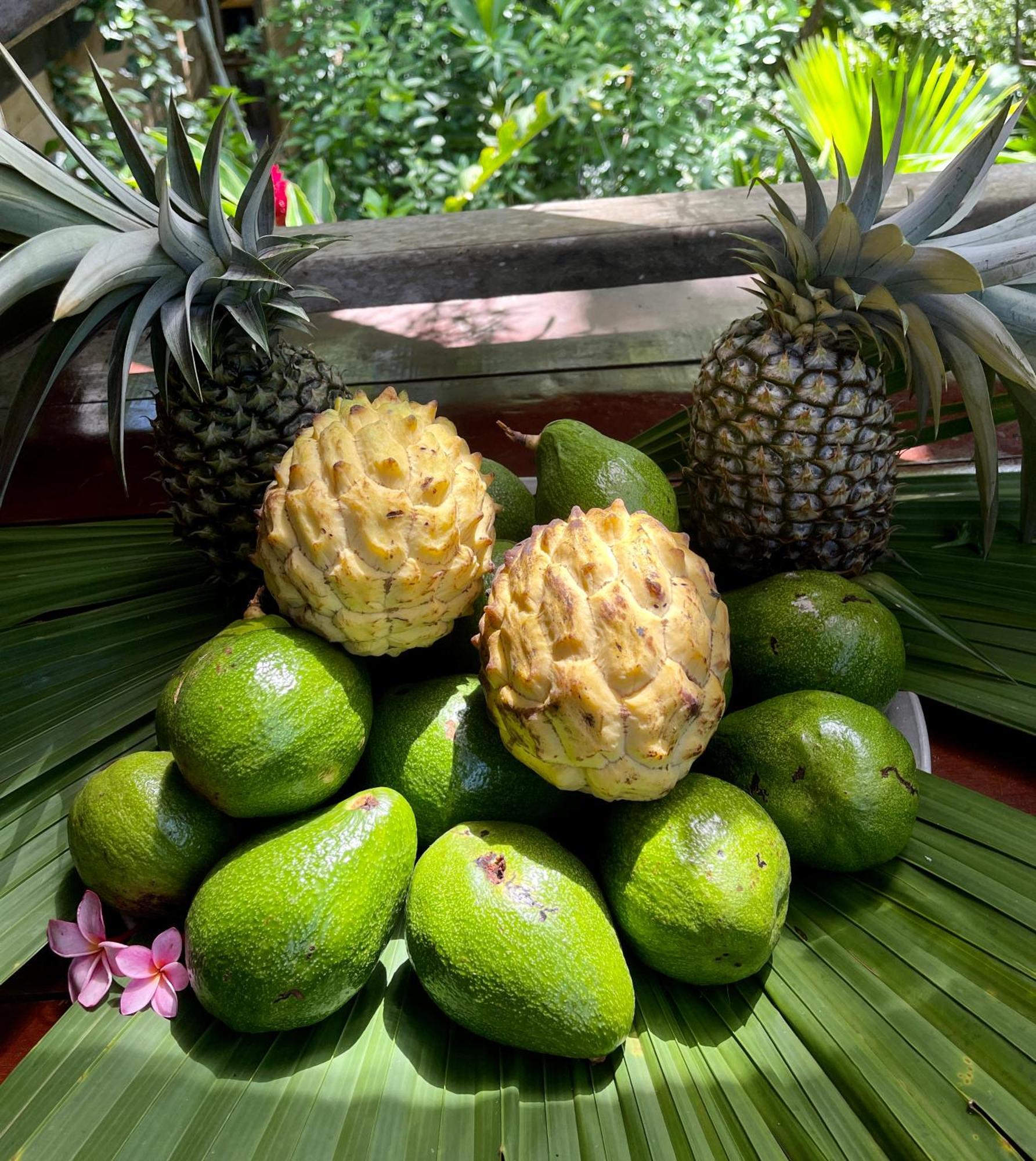 Eden Jungle Lodge Bocas del Toro Eksteriør billede