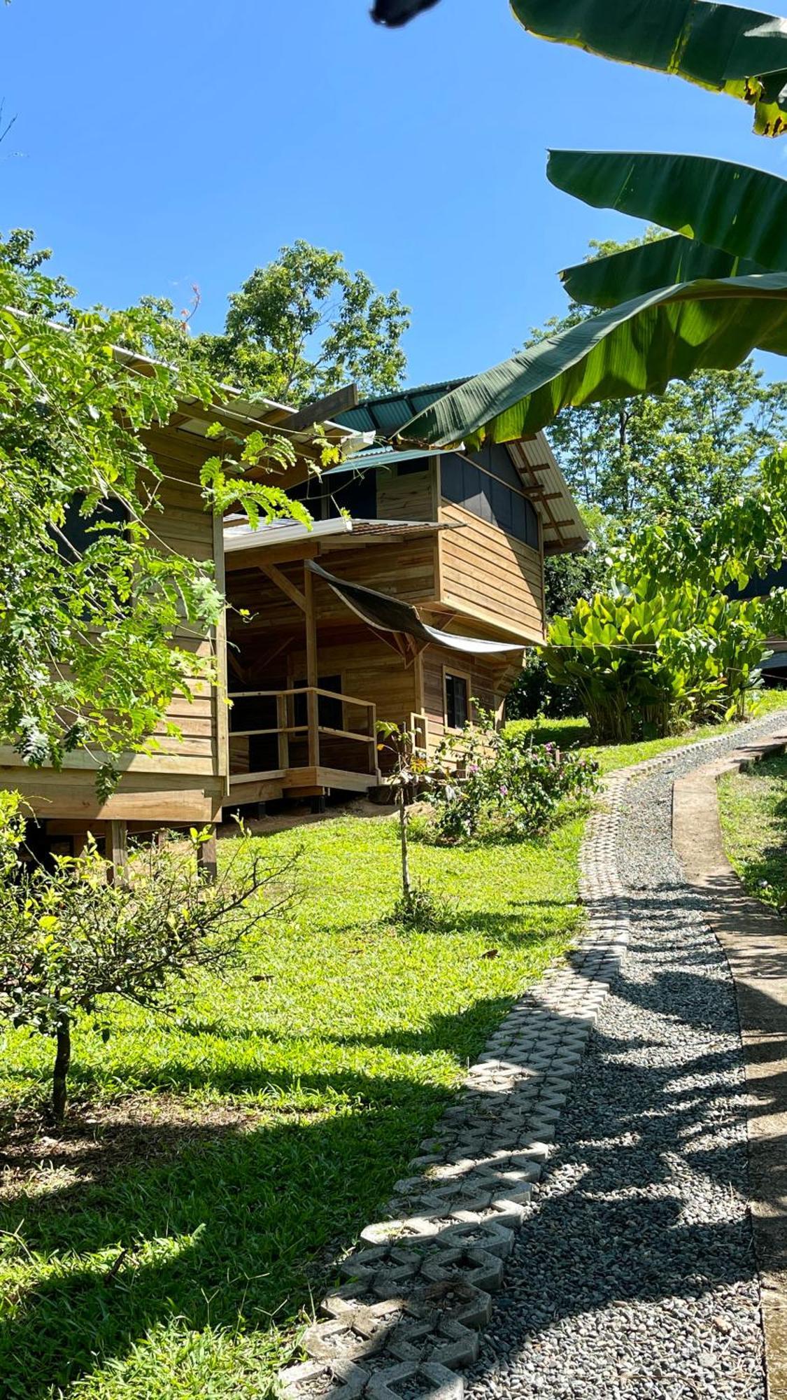 Eden Jungle Lodge Bocas del Toro Eksteriør billede