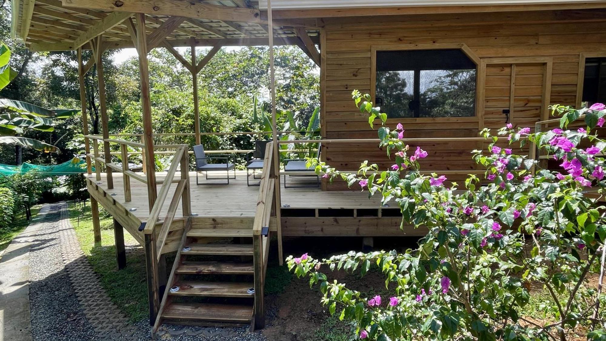 Eden Jungle Lodge Bocas del Toro Eksteriør billede