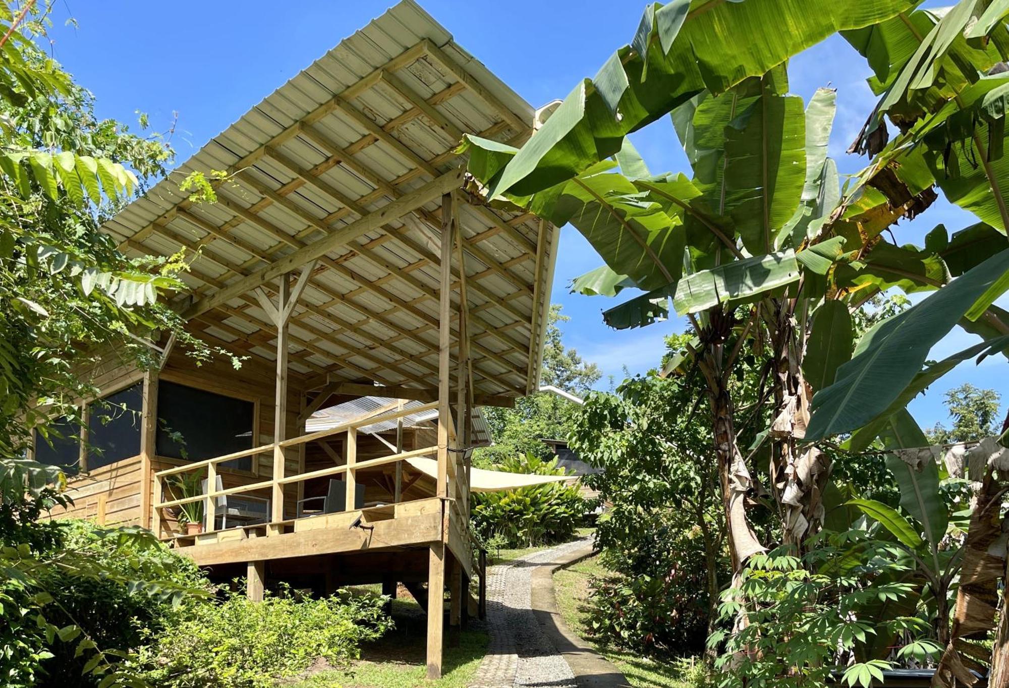 Eden Jungle Lodge Bocas del Toro Eksteriør billede